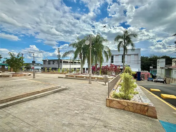 20 LUIS MUNOZ RIVERA, Aguas Buenas, PR 00703