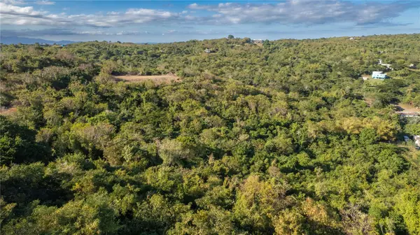 4 PR-995, Vieques, PR 00765