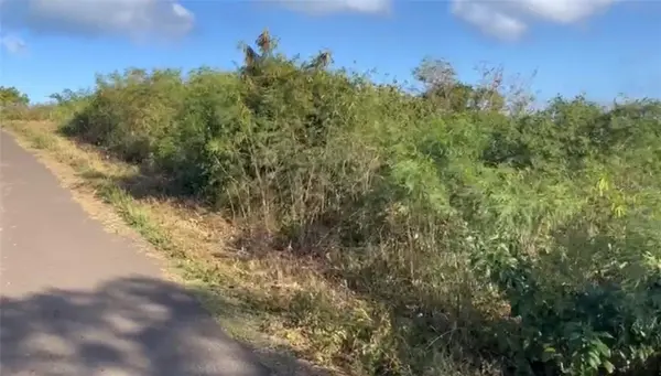 COMUNIDAD VILLA BORINQUÉN, Vieques, PR 00765