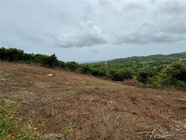COMUNIDAD VILLA BORINQUÉN, Vieques, PR 00765