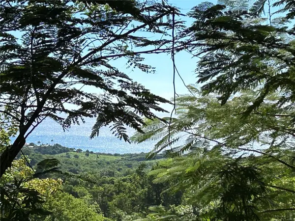 LA LLAVE, Vieques, PR 00765