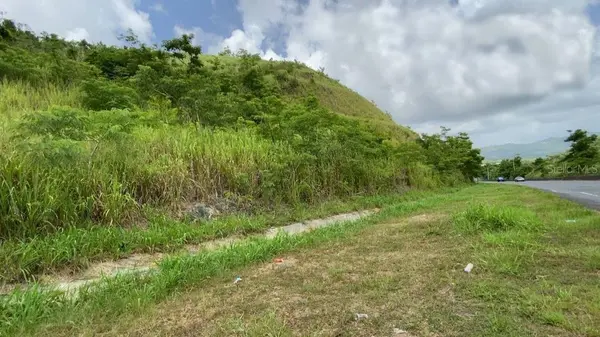 CARR 30 & CARR 203, Gurabo, PR 00778