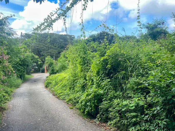 30 CALLE ALTA, Vieques, PR 00765