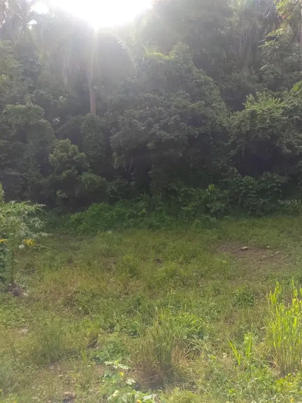 CARR 821 KM 1.9, Corozal, PR 00783