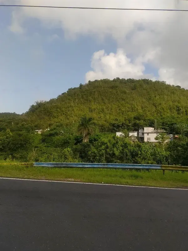 CARR 821 KM 1.9, Corozal, PR 00783