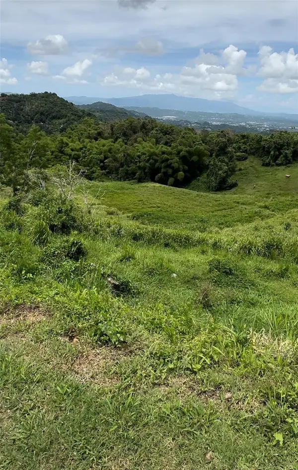 87.29 cuerdas Bo.Quemados CARR 7788 KM HM 2.2, San Lorenzo, PR 00754