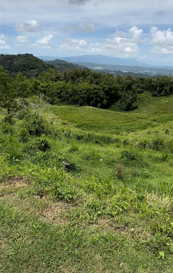 87.29 cuerdas Bo.Quemados CARR 7788 KM HM 2.2, San Lorenzo, PR 00754