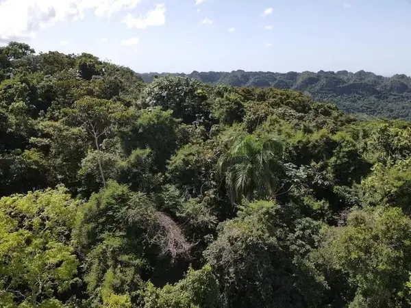 Road PR-140 km 34.2 BARRIO DON ALONSO, Utuado, PR 00641