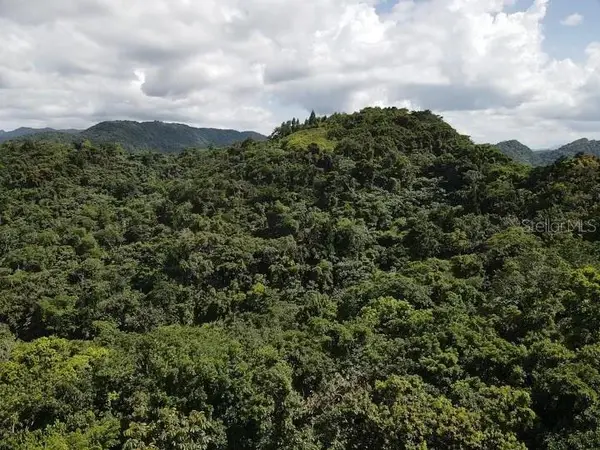 Road PR-140 km 34.2 BARRIO DON ALONSO, Utuado, PR 00641