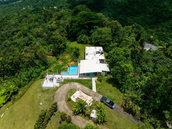 PR 797 km 5.3 JAGUEYES WARD, Aguas Buenas, PR 00703