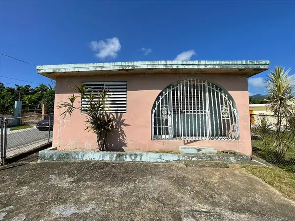 Calle 4 BARRIO EL MANGO, Juncos, PR 00777