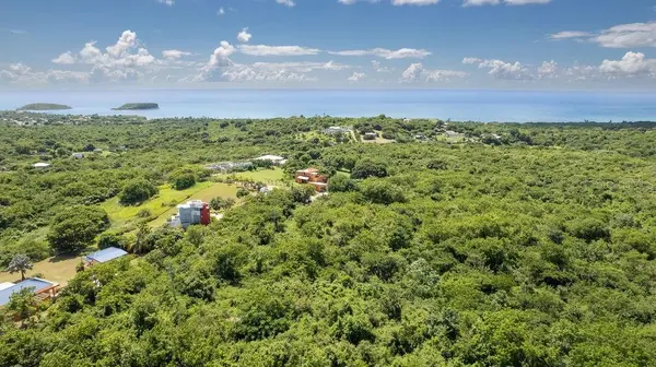 Lot 5 CARR 201 KM.HM 5.8, Vieques, PR 00765