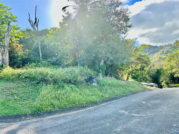 Road 185 Barrio Cedros ROAD 185 BARRIO CEDROS, Carolina, PR 00987
