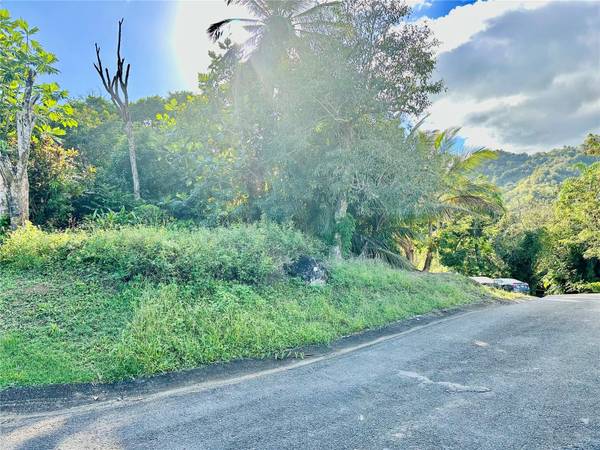 Road 185 Barrio Cedros ROAD 185 BARRIO CEDROS, Carolina, PR 00987