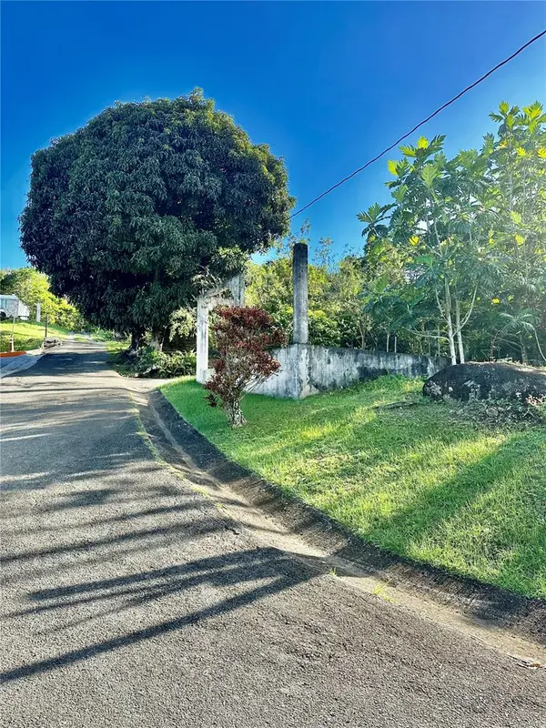 Road 185 Barrio Cedros ROAD 185 BARRIO CEDROS, Carolina, PR 00987