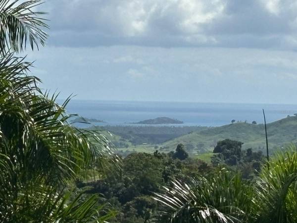 31 INT 950 KM.HM 9.7 BO RIO BLANCO, Naguabo, PR 00718