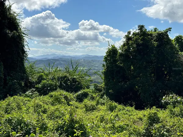 31 INT 950 KM.HM 9.7 BO RIO BLANCO, Naguabo, PR 00718