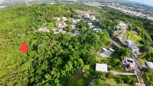 Rd. 859 Km. 1.5 BO. SANTA CRUZ, Carolina, PR 00987
