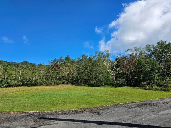 BO. CELADA SECTOR LOS CHINO, Gurabo, PR 00778