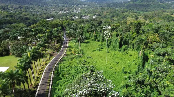 PR-191, Km 2.4 BO. MAMEYES II, Rio Grande, PR 00745