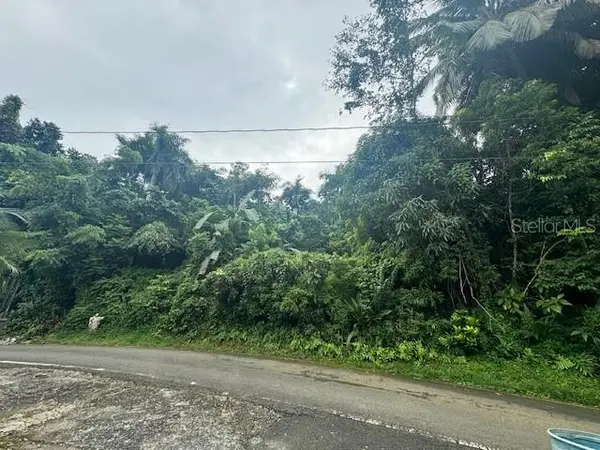 175 BO SAN ANTONIO, Caguas, PR 00725
