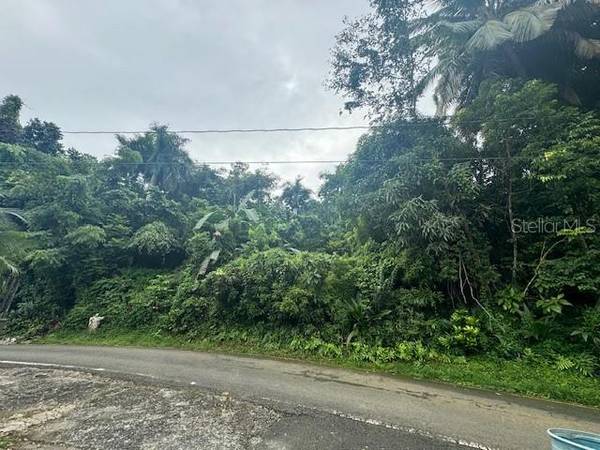 175 BO SAN ANTONIO, Caguas, PR 00725