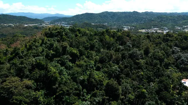 175 BO SAN ANTONIO, Caguas, PR 00725