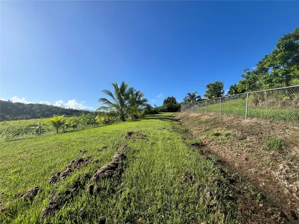 CARR. 857 KM.HM 003 3 BO. CANOVANILLAS, Carolina, PR 00987