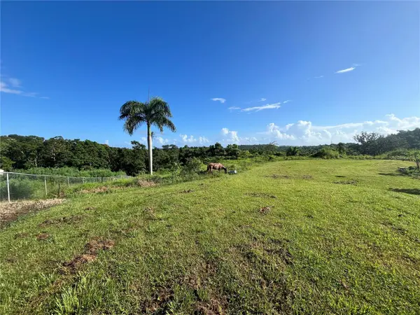 CARR. 857 KM.HM 003 3 BO. CANOVANILLAS, Carolina, PR 00987