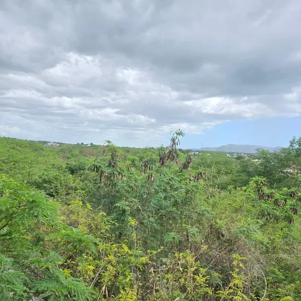 307 PEDERNALES WARD, Cabo Rojo, PR 00623