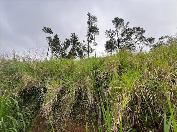 KM 0.2 INT Bo. Helechal PR 152, Barranquitas, PR 00794