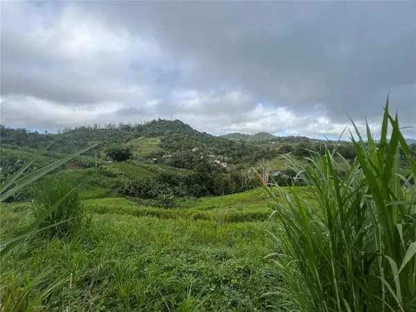 KM 0.2 INT Bo. Helechal PR 152, Barranquitas, PR 00794