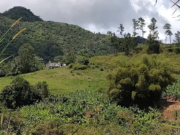 KM 0.2 INT Bo. Helechal PR 152, Barranquitas, PR 00794
