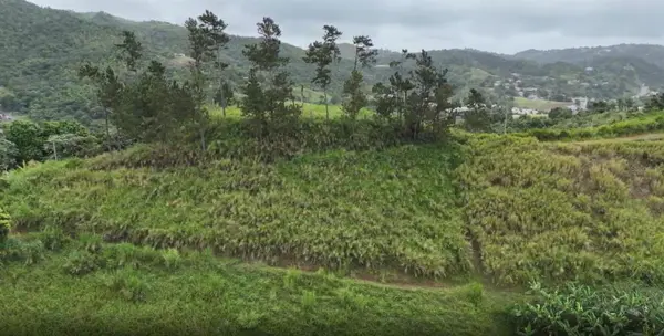 KM 0.2 INT Bo. Helechal PR 152, Barranquitas, PR 00794