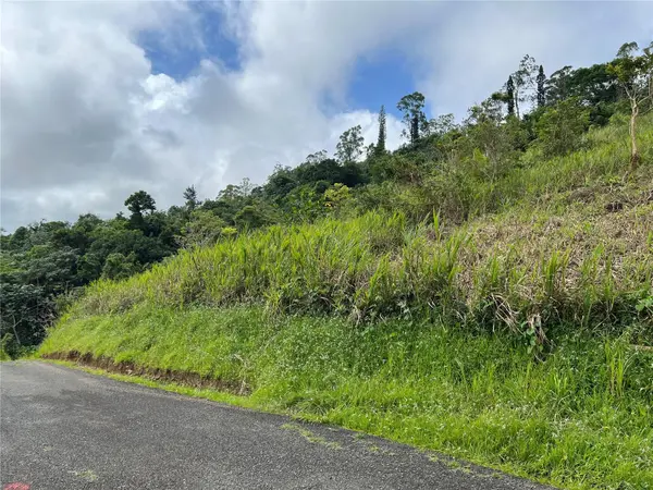 KM 0.2 INT Bo. Helechal PR 152, Barranquitas, PR 00794