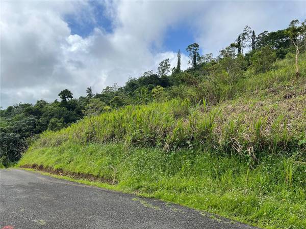 KM 0.2 INT Bo. Helechal PR 152, Barranquitas, PR 00794