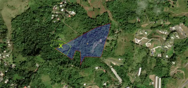 KM 0.2 INT Bo. Helechal PR 152, Barranquitas, PR 00794