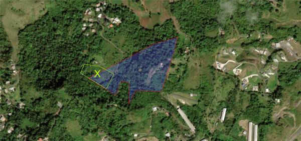 KM 0.2 INT Bo. Helechal PR 152, Barranquitas, PR 00794