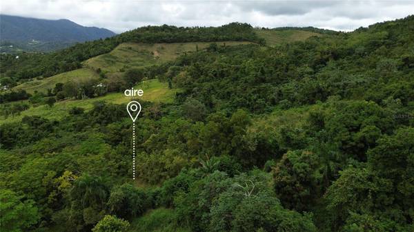 Lot 7 Km 61 PR-3 Int DAGUAO WARD, Ceiba, PR 00735