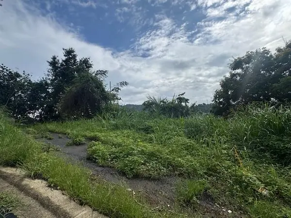 816 BO NUEVO, Bayamon, PR 00956