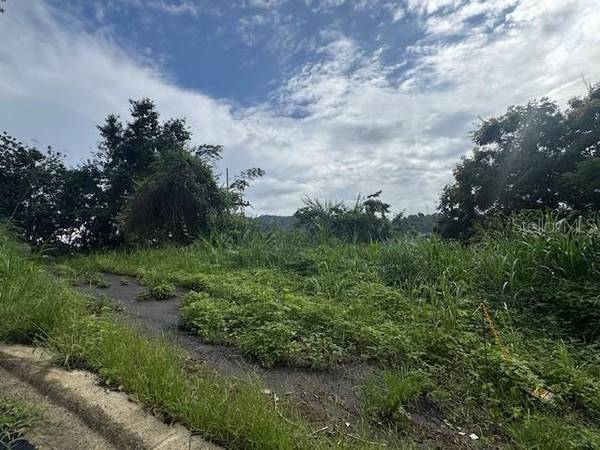 816 BO NUEVO, Bayamon, PR 00956
