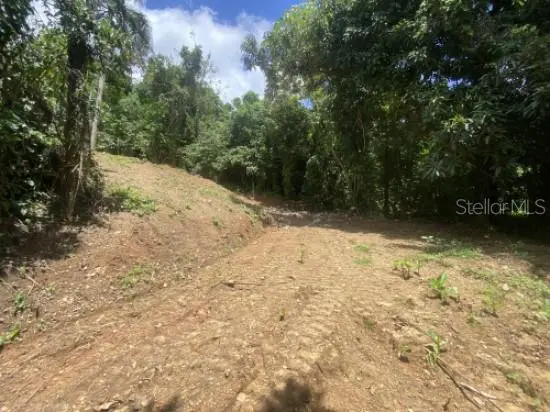 BO. TURABO, Caguas, PR 00725