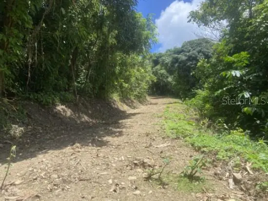 BO. TURABO, Caguas, PR 00725