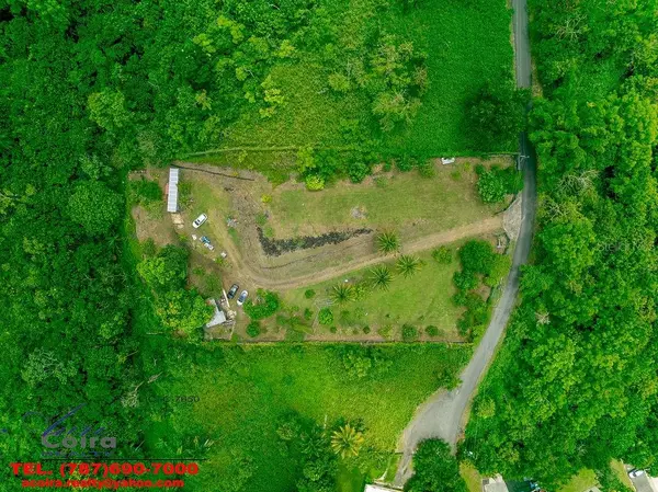 Lot 6 CAMINO PACO GALÁN, Guaynabo, PR 00966