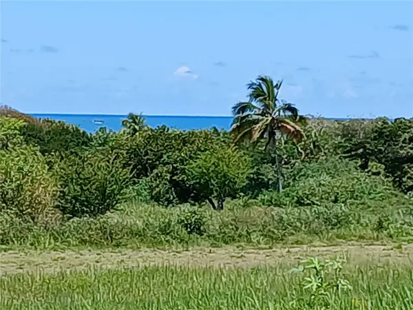 15.5 CARRETERA 681 KM.HM 15.5, Barceloneta, PR 00617