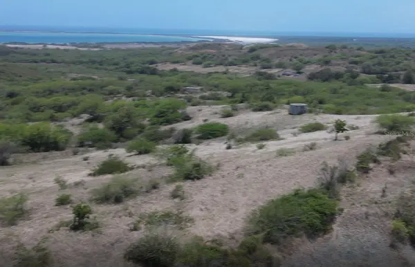 Km 12.1 PR 303, Cabo Rojo, PR 00623