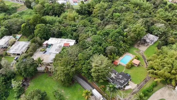 BO. RIO CAÑAS, Caguas, PR 00725