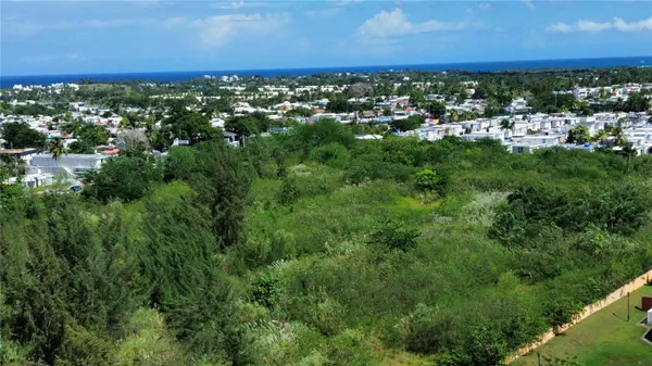 BO HIGUILLAR CARR. 695 KM. 3.2, Dorado, PR 00646