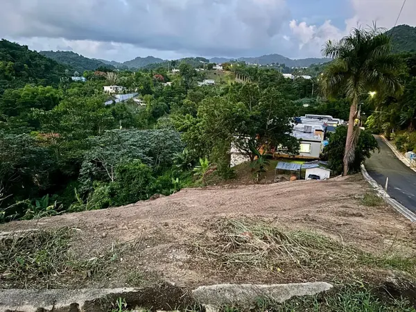 164 St. km 4.4 BO. NUEVO, Naranjito, PR 00719