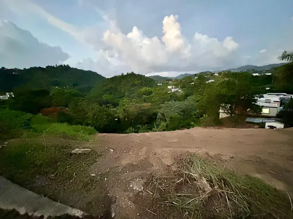 164 St. km 4.4 BO. NUEVO, Naranjito, PR 00719